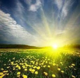 Sumarlokun leikskólanna 2023