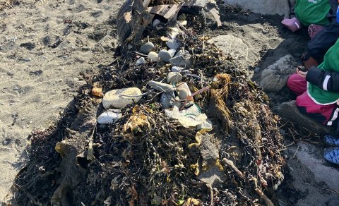 Barnamenningarhátíð Akraneskaupstaðar 23.-31. maí