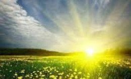 Sumarlokun leikskólanna 2023